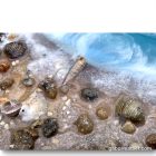 "Seaside"  22,5cm x 34cm epoxy texturált kép 